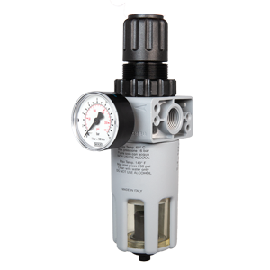 Filter Regulator - 1/2